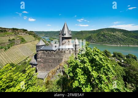 Germania, Renania-Palatinato, Bacharach, Patrimonio Mondiale dell'Umanità Valle del Medio Reno, vista sul Reno con il Castello di Stahleck Foto Stock