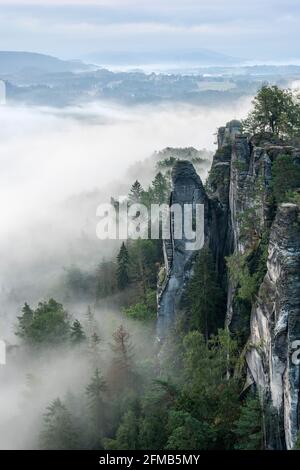 Germania, Sassonia, Saxon Svizzera Parco Nazionale, Elbe montagne di arenaria, vista al ponte di Bastei sulle scogliere di arenaria al mattino con nebbia Foto Stock