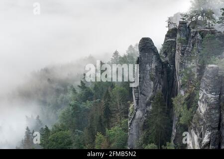 Germania, Sassonia, Saxon Svizzera Parco Nazionale, Elbe montagne di arenaria, vista al ponte di Bastei sulle scogliere di arenaria al mattino con nebbia Foto Stock