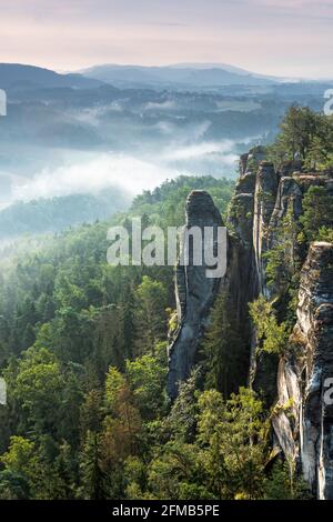 Germania, Sassonia, Saxon Svizzera Parco Nazionale, Elbe montagne di arenaria, vista al ponte di Bastei sulle scogliere di arenaria al mattino con nebbia Foto Stock