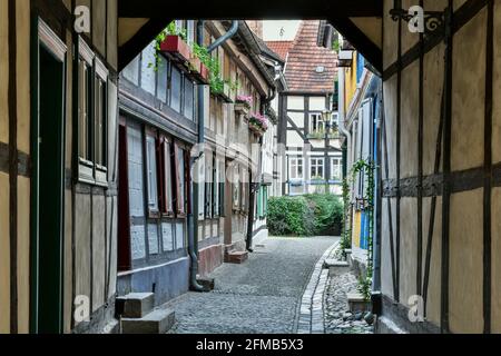 Germania, Sassonia-Anhalt, Quedlinburg, vicolo stretto e case a graticcio nel centro storico Foto Stock