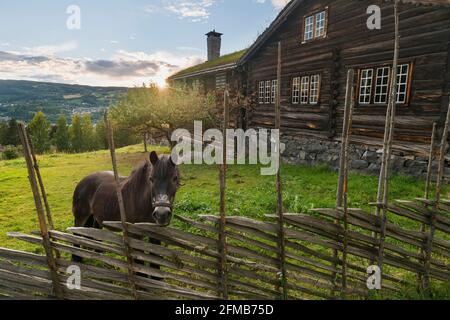 Edifici storici nel Museo all'aperto di Maihaugen, Lillehammer, Innlandet, Norvegia Foto Stock