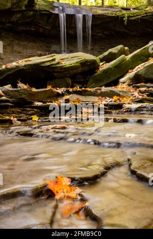 Foglia d'arancia nel torrente sotto Blue Hen Falls in parco Nazionale della valle di cuyahoga Foto Stock