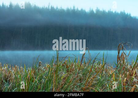 Impronta autunnale al Pinnsee (tra Mölln e Sterley) Foto Stock