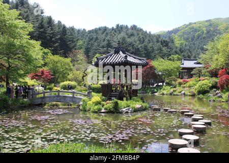 Tradizionale gazebo asiatico che abbaglia il Giardino dello Stagno nel Giardino della calma mattutina, a Gapyeong, Corea Foto Stock