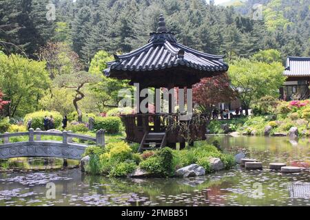 Tradizionale gazebo asiatico che abbaglia il Giardino dello Stagno nel Giardino della calma mattutina, a Gapyeong, Corea Foto Stock