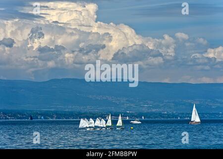 Barche con vele bianche di una scuola di vela sul lago di Ginevra di fronte alle nuvole buie tempesta, Anières, Canton Ginevra, Svizzera Foto Stock