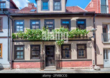 Casa facciata, porta anteriore, ingresso casa, finestra, città vecchia, Estate, Erfurt, Turingia, Germania, Europa Foto Stock