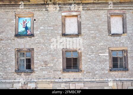 Cittadella di Petersberg, Petersberg, facciata, pittura, fortezza, Estate, Erfurt, Turingia, Germania, Europa Foto Stock