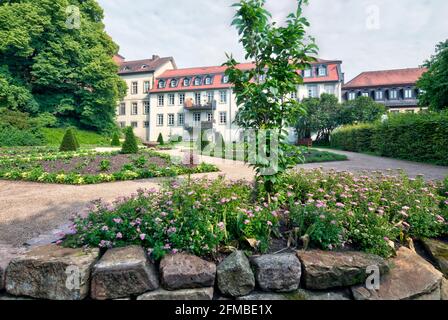 Giardino Dahlia, area verde, giardino, estate, Fulda, Assia, Germania, Europa Foto Stock