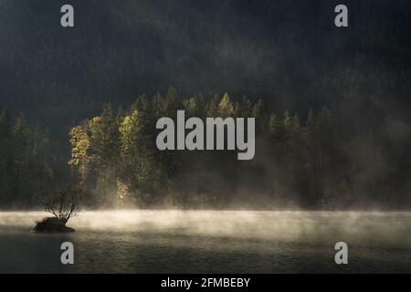 Mistico umore foggy al mattino all'Hintersee in Berchtesgadener Land Foto Stock