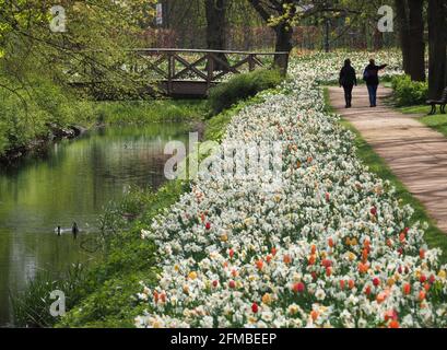 07 maggio 2021, Brandeburgo, Wittstock/Dosse: Due donne camminano attraverso tulipani fioriti e narcisi in tempo soleggiato nel Friedrich Ebert Park. La piccola città a nord-ovest del Brandeburgo è il punto di partenza per numerosi percorsi escursionistici. Nel Brandeburgo, molte persone scoprono escursioni da sole, anche a causa delle restrizioni imposte dalla normativa Corona. Con il suo concetto di sentiero escursionistico, Wittstock è un modello per l'intera regione di Prignitz. La regione deve essere ulteriormente sviluppata per il turismo attivo. (Al sondaggio dpa 'Corona-Lockdown: Escursioni diventa sempre più popolare' dal 08.05.2021) Pho Foto Stock