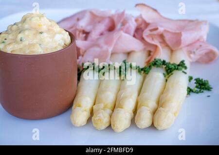 Terlan, Alto Adige, Provincia di Bolzano, Italia. Asparagi Terlano con prosciutto di erbe e salsa di Bolzano Foto Stock