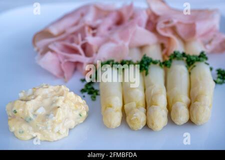 Terlan, Alto Adige, Provincia di Bolzano, Italia. Asparagi Terlano con prosciutto di erbe e salsa di Bolzano Foto Stock