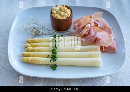 Terlan, Alto Adige, Provincia di Bolzano, Italia. Asparagi Terlano con prosciutto di erbe e salsa di Bolzano Foto Stock