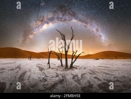 Foto notturna con Milky Way su Deadvlei nel Parco Nazionale Namib Nauklauft in Namibia. Foto Stock