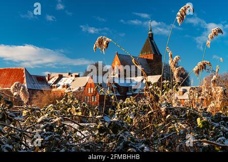 Impressione invernale a Mölln Foto Stock