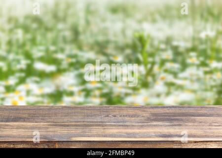 tavolo in legno su campo sfocato di sfondo margherite Foto Stock