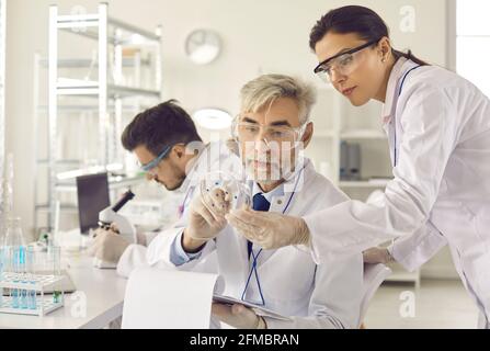 Gruppo di scienziati seri con la piastra Petri che fa la ricerca microbiologica in laboratorio Foto Stock