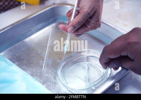 La crioconservazione Foto Stock