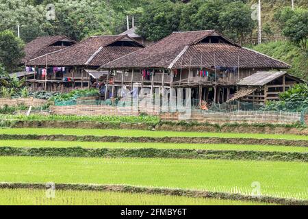 Tay minoranze etniche persone terrazzato campi di riso e case su palafitte, Bao Lam contea, cao Bang regione, vicino a na Phong città, nord Vietnam Foto Stock