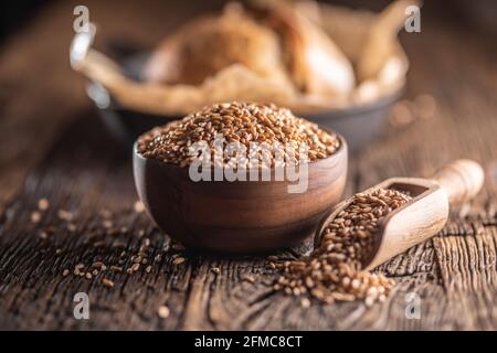 Grani di grano-l'ingrediente principale del pane riempito in ciotola di legno e paletta rustica di legno. Pane croccante al forno nel retro. Foto Stock