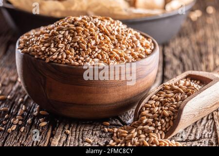 Grani di grano-l'ingrediente principale del pane riempito in ciotola di legno e paletta rustica di legno. Pane croccante al forno nel retro. Foto Stock