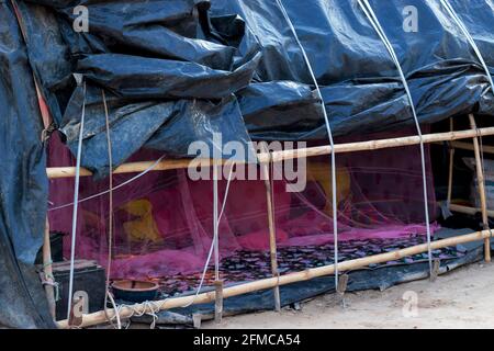 Le case di plastica sono fatte dai poveri per vivere Foto Stock