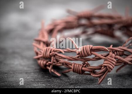 Corona di spine a filo spinato macro shot Foto Stock