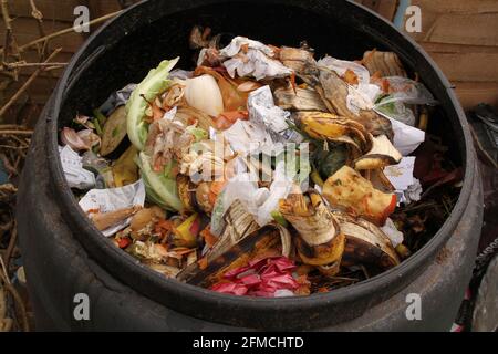 Contenuto di un bidone di compost esterno compreso spreco vegetale per produrre compost di giardino ecologico e ridurre i rifiuti. Foto Stock