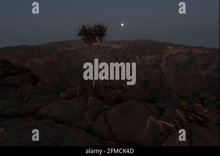 Luna piena sopra Jebel Shams, il Grand Canyon dell'Arabia. Regione di al Dakhiliyah, Oman Foto Stock