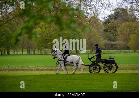 Datchet, Berkshire, Regno Unito. 4 maggio 2021. Windsor si spegne per una guida in carrozza nei terreni del Castello di Windsor. E' stato confermato che il Royal Windsor Horse Show andrà avanti nel mese di luglio di quest'anno un paio di mesi più tardi del solito. Credito: Maureen McLean/Alamy Foto Stock