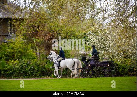 Datchet, Berkshire, Regno Unito. 4 maggio 2021. Windsor si spegne per una guida in carrozza nei terreni del Castello di Windsor. E' stato confermato che il Royal Windsor Horse Show andrà avanti nel mese di luglio di quest'anno un paio di mesi più tardi del solito. Credito: Maureen McLean/Alamy Foto Stock