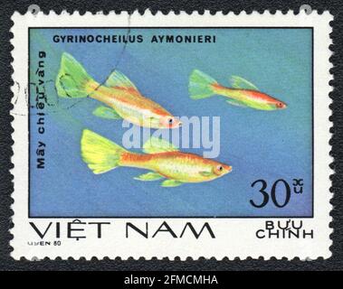 Un francobollo mostra un acquario pesci (Gyrinocheilus aymonieri), serie 'Aquarium Fish', Vietnam, 1980 Foto Stock