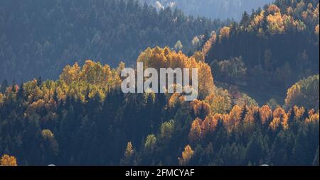 Una foto panoramica di Artvin che cattura la sua splendida natura. Artvin con i suoi alberi dai colori vivaci su un sentiero pieno di erba verde crea un incredibile Foto Stock