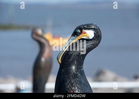 Sculture cormorani, Morecambe, Lancashire, Regno Unito. Foto Stock