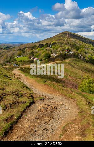 Guardando a nord lungo la Shire Ditch sulla collina di perseverance verso il Beacon Worcestershire in primavera, Malverns, Worcestershire, Inghilterra Foto Stock