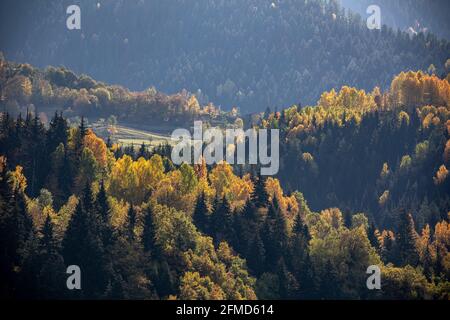 Una foto panoramica di Artvin che cattura la sua splendida natura. Artvin con i suoi alberi dai colori vivaci su un sentiero pieno di erba verde crea un incredibile Foto Stock