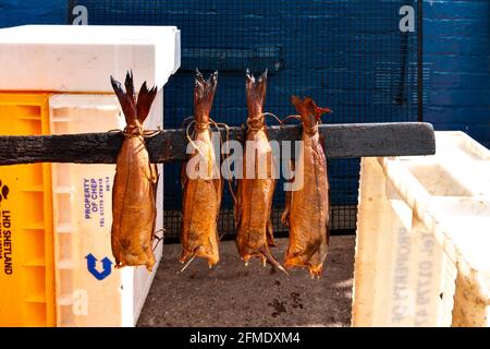 ARBROATH ANGUS SCOZIA ARBROATH HADDOCK PESCE SMOKIES Foto Stock