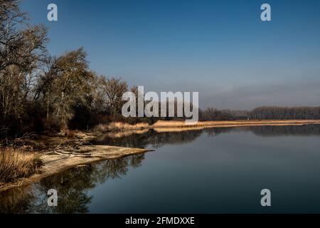 Paesaggio al Parco Nazionale delle paludi del Danubio in Austria Foto Stock