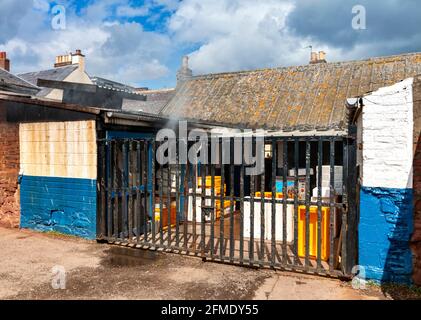 ARBROATH ANGUS SCOTLAND FUMO CAPANNONE PER ARBROATH PESCE SMOKIES Foto Stock