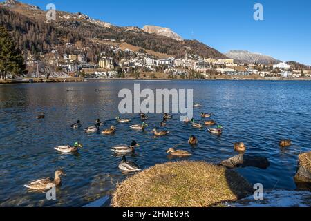 St. Moritz, Svizzera - 26 novembre 2020: St. Moritz è un'alta località alpina dell'Engadina in Svizzera, a un'altitudine di circa 1,800 m Foto Stock