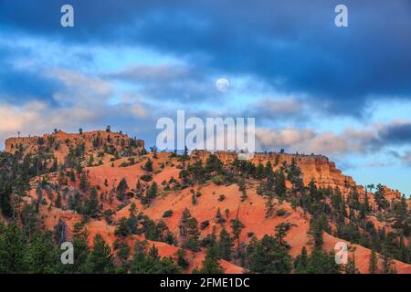 luna che si trova sulle scogliere del canyon rosso vicino al parco nazionale del canyon di bryce, utah Foto Stock