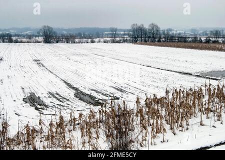 Panorama invernale della valle del fiume Jadar nella Serbia occidentale vicino alla città di Loznica. Foto Stock