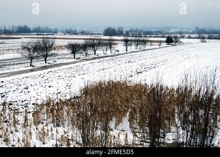 Panorama invernale della valle del fiume Jadar nella Serbia occidentale vicino alla città di Loznica. Foto Stock