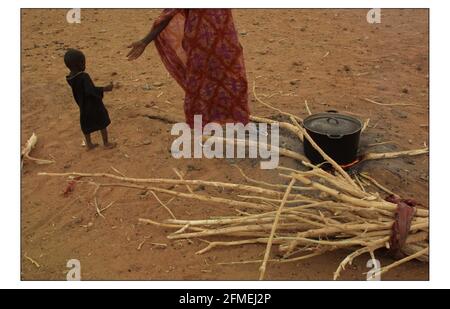 CRISI DELLA FAME IN MAURITANIA Vedi storia McCarthy Il villaggio di Glaibatt Nour, colpito dalla fame, nella siccità aftout Regione della Mauritania fotografia di David Sandison Foto Stock