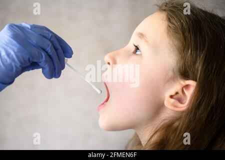 Il bambino apre la bocca per il test PCR COVID-19, il medico tiene il tampone per il campione di saliva da cute capretto durante la pandemia di coronavirus. Nurse mano e bambina fac Foto Stock