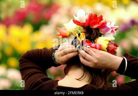 Sara Turner del Bloms Bulbs Primrose Nursery mostra fixes una disposizione floreale nei suoi capelli durante gli ultimi pochi Ore di preparazione al Chelsea Flower Show che apre Domani.19 Maggio 2002 foto Andy Paradise Foto Stock