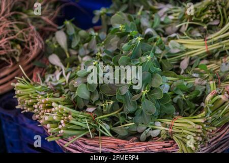 Primo piano pianta verde per sfondo, texture fenugreek verde . Le foglie verdi formano una forma naturale. Foglie fresche di fenugreek crudo. Foto Stock