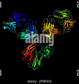 La molecola di anticorpo monoclonale IgG1 dell'immunoglobulina 3D rende la struttura chimica Foto Stock